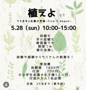 5月28日(日) 田植え体験ができるイベントがありますよ♪ @ てらます
