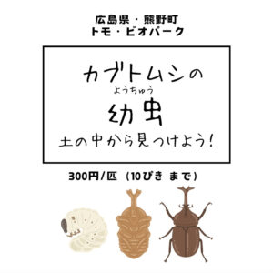 4月27日〜カブトムシの幼虫を土の中から見つけよう！　 @ トモビオパーク（かおの小屋前）