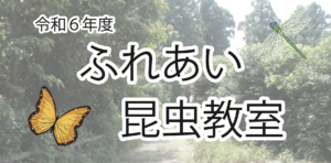 【要申込】　8月4日（日）ふれあい昆虫教室　 @ 昆虫の家