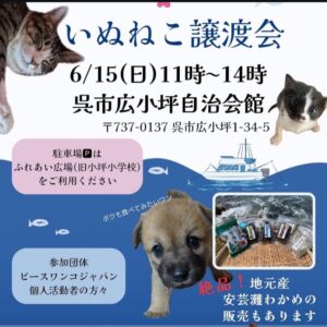 6月15日（日）いぬねこ譲渡会 @ 呉市広小坪自治会館