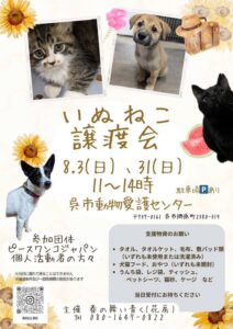 8月3日（日）・31日（日）いぬねこ譲渡会 @ 呉市動物愛護センター