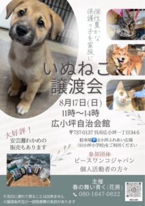 8月17日（日）いぬねこ譲渡会 @ 呉市広小坪自治会館