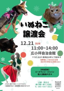 12月21日(日)いぬねこ譲渡会 @ 呉市広小坪自治会館