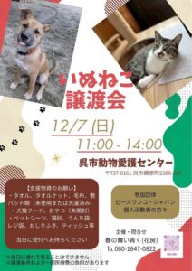 12月7日(日)いぬねこ譲渡会 @ 呉市動物愛護センター