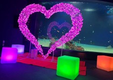 2026年2/10(火)〜2/15(日) シン・マリホ水族館で楽しむバレンタインイベント @ シン・マリホ水族館