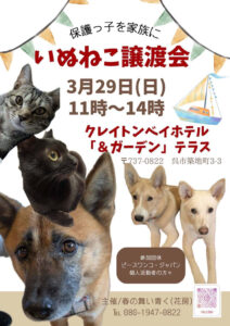 2026年3月29日(日)いぬねこ譲渡会 @ クレイトンベイホテル「&ガーデン」テラス