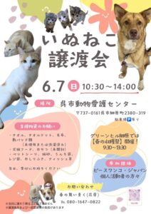 2026年6月7日（日）いぬねこ譲渡会 @ 呉市動物愛護センター